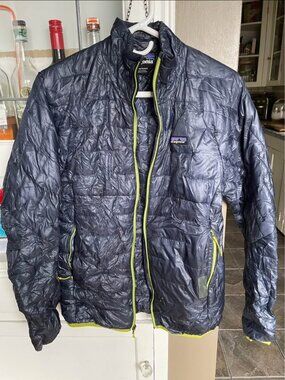 Patagonia Micro Puff Jacket (Small)